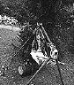 hans_01
