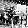 hortl_02