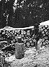 hortl_03