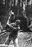 hortl_04